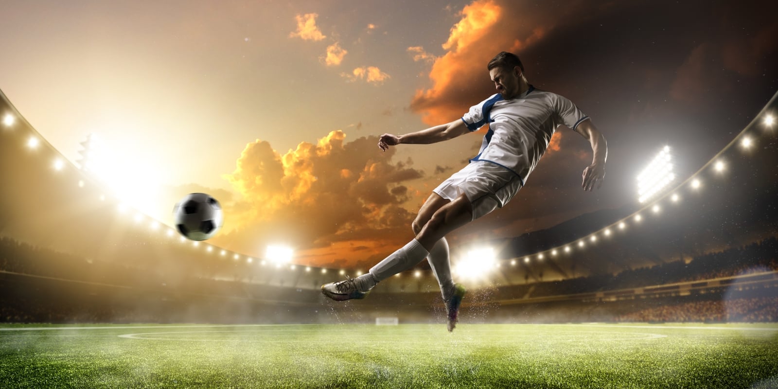 ProPlay for Soccer | The ultimate base for your fields | Read more now